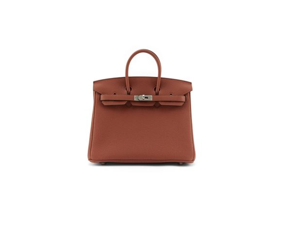Birkin 25 Cuivre
